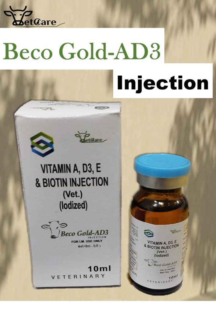 Beco Gold-AD3 Injection